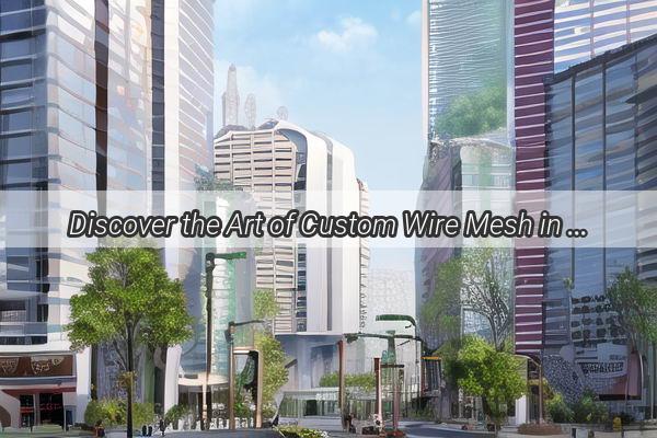 Discover the Art of Custom Wire Mesh in Guangzhou Your Ultimate Guide to TopNotch Fabrication